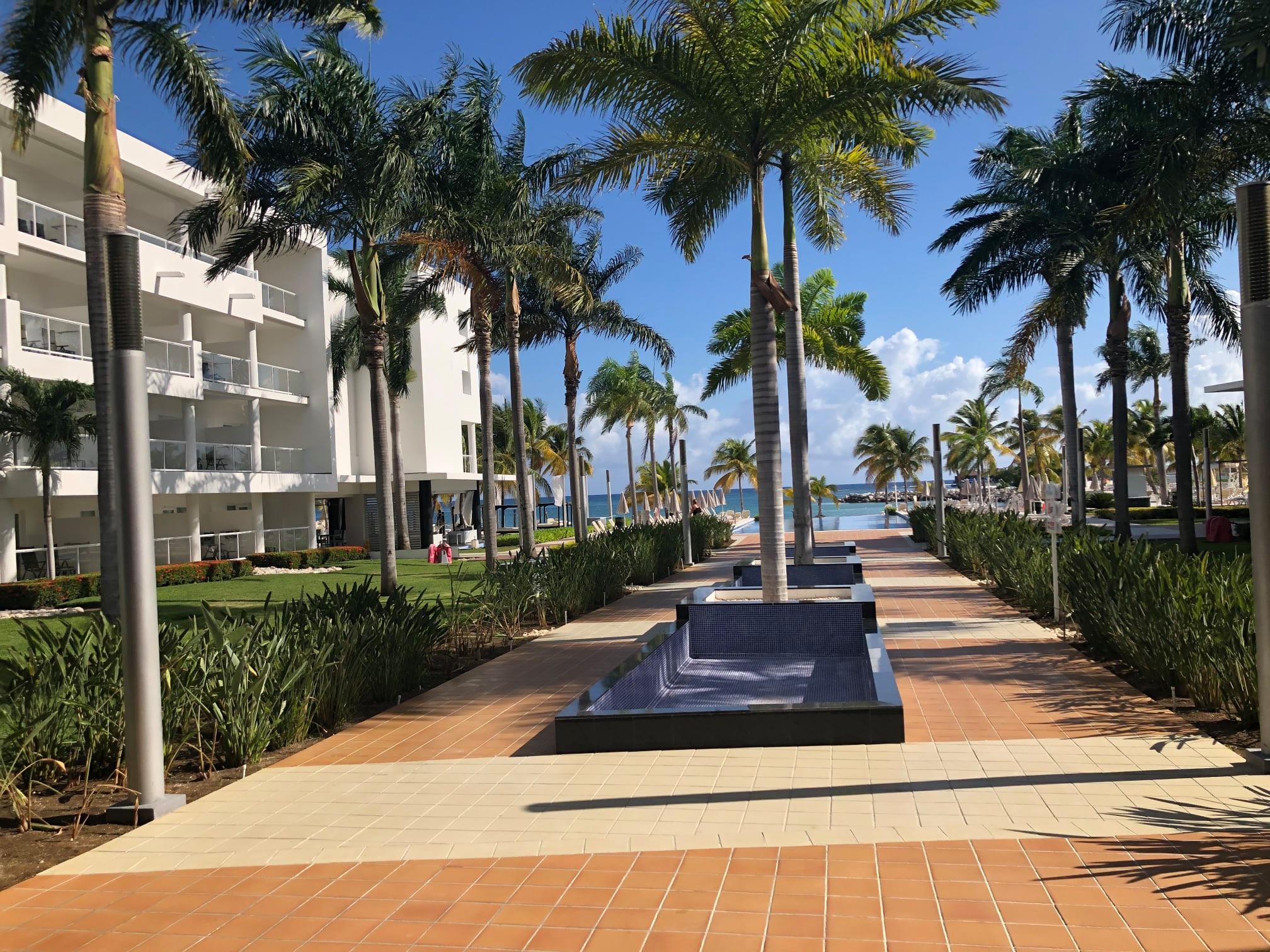RIU Palace Resort con palmeras