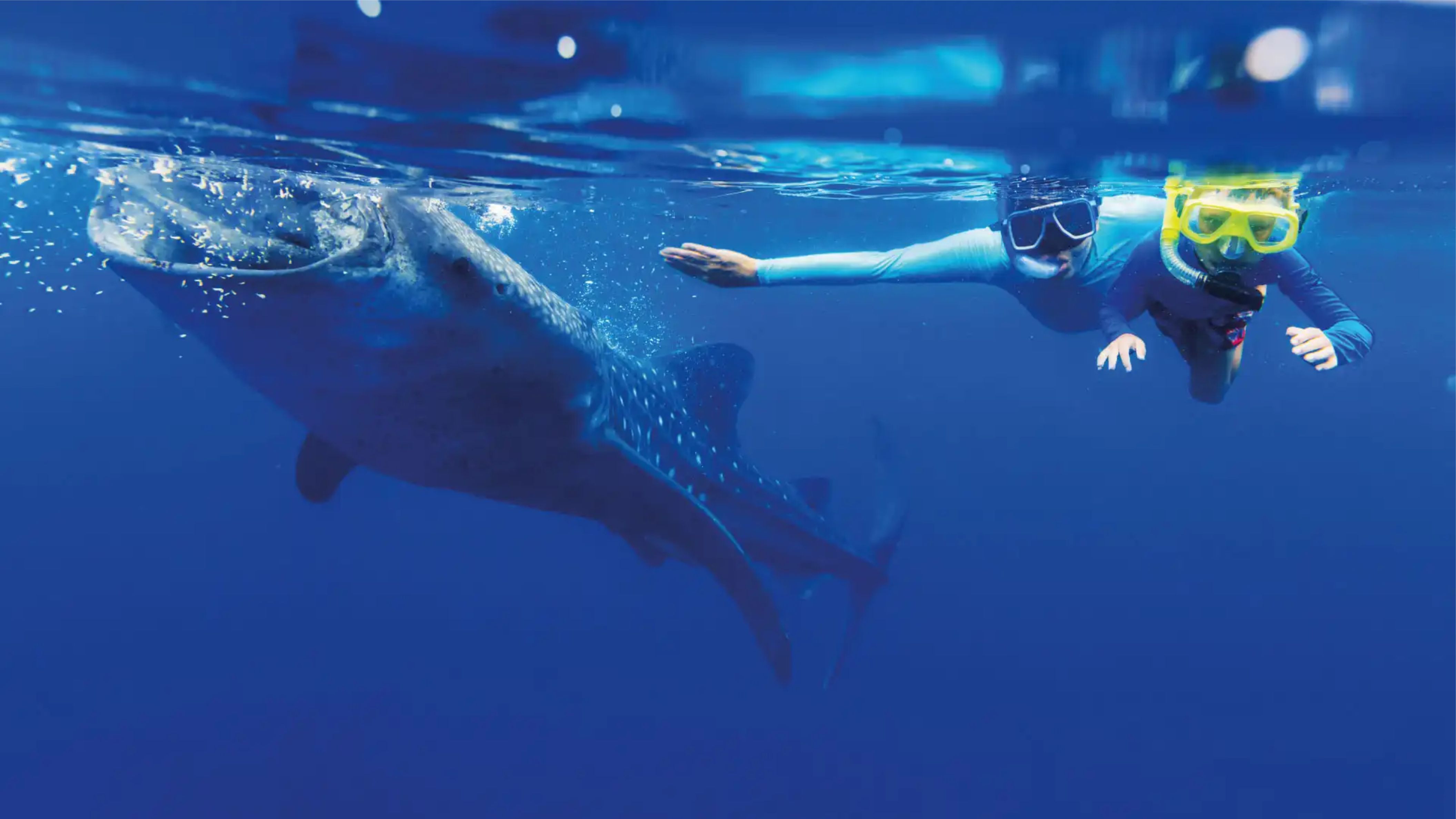 Actividades acuáticas en RIU